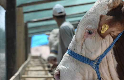 Bayram tatili birleştirildi mi 2021 uzatıldı mı resmi açıklama