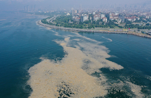Bakan Kurum duyurdu: Marmara'da toplanacak miktarda müsilaj kalmadı