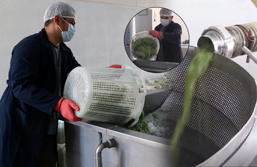 Manisa'da üretildi 3-4 gün içinde bitiyor! On binlerce şişe yetmedi: Yok satıyor