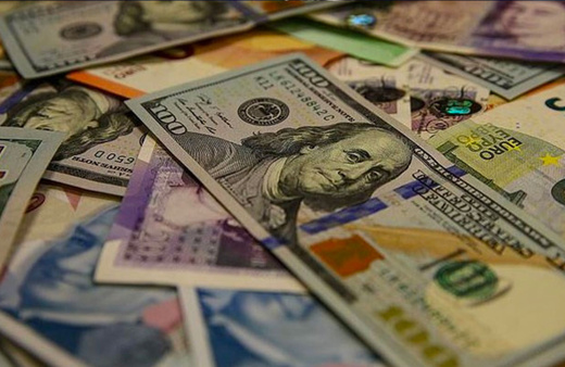 Reel efektif döviz kuru endeksi ekimde 55,90'a yükseldi