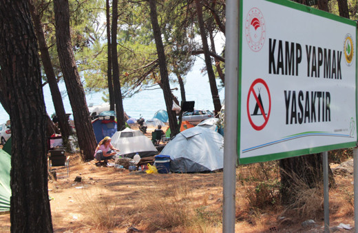Bodrum Marmaris Fethiye'de yer kalmadı ağaç altında çadır kentler kuruldu