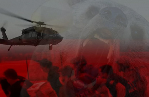 Tunceli'de askeri helikopter ayı saldırısına uğrayan turist için havalandı