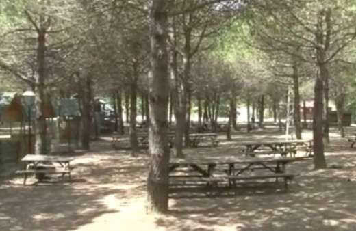 İstanbullu tatile gitti piknik alanları boş kaldı