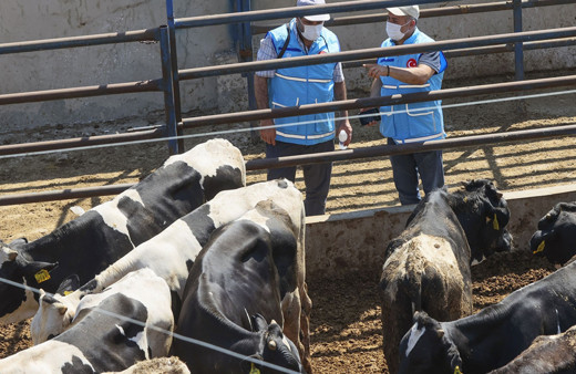 Türkiye Diyanet Vakfı Lübnan’da 20 bin aileye kurban eti dağıtacak