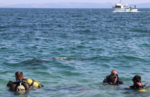 'Saros'un akvaryumu' dalış turizminin ilgi odağı oldu