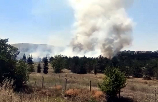 Ankara'da Atatürk Orman Çiftliği arazisinde yangın 1 kişi gözaltına alındı
