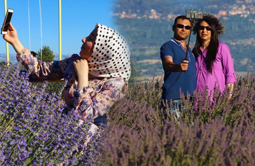 Isparta'da gören fotoğrafını çekiyor! Milyonlarca lira kazandılar: Hedef Fransa'yı geçmek