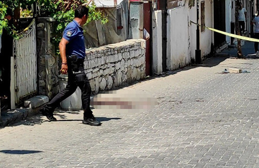 Aydın'da kavgayı ayırmak istedi! Atlayınca kanlar içinde kaldı