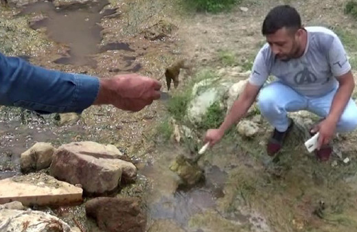 İstanbul'da tehlike saçan görüntü! İBB ilgilenmedi: Sivilceler çıkıyor kaşıntı yapıyor