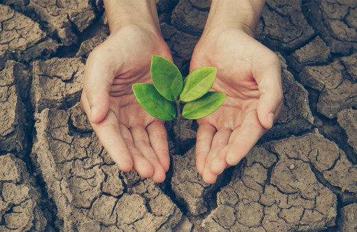 Türkiye su kıtlığı noktasında en problemli ülkelerden birisi olacak