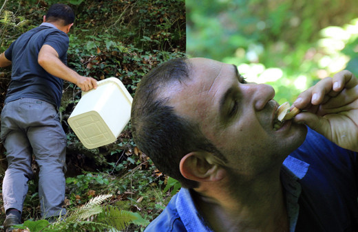 5 saatte 4 tane bulunuyor Kocaeli'de toplanıyor acı ve sütlü mantar