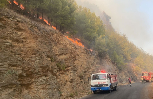 Peş peşe acı haber! Mersin'de orman yangını