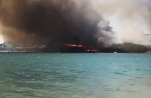 Muğla Milas'taki orman yangınıyla ilgili soruşturma başlatıldı