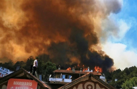 Türkiye'yi saran orman yangınına ünlülerden tepki! Sosyal medyada isyan!
