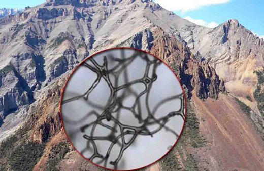 Kanada'da 890 milyon yıllık dev keşif! Dünyanın en eski hayvan fosili bulundu