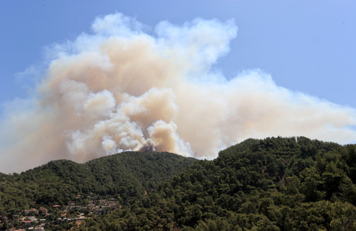 Fransa'dan Türkiye'deki yangınlar için dayanışma mesajı