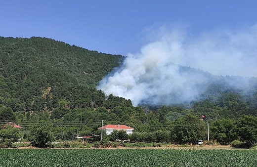 İzmir'in Ödemiş ilçesinde de orman yangını çıktı! Ekipler müdahale ediyor