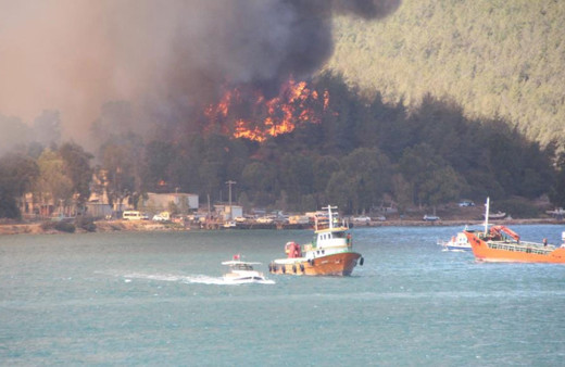 Fahrettin Altun paylaştı! 63 yangının 43'ü kontrol altına alındı