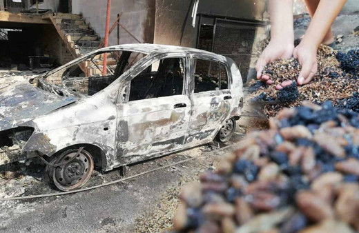 Antalya Manavgat'taki yangından kaldı küllerin arasından topladılar