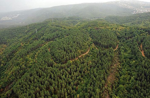 Çanakkale'de ormanlık alanlara giriş çıkışlar ve ateş yakılması yasaklandı