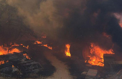 Tarım ve Orman Bakanlığı, orman yangınlarına ilişkin son bilgileri paylaştı