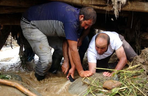 Hakkari'nin Yüksekova ilçesindeki sel nedeniyle 500 koyun telef oldu
