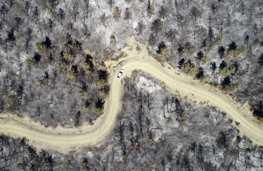 Cumhurbaşkanı Erdoğan: Yangın alanları afet bölgesi ilan edildi