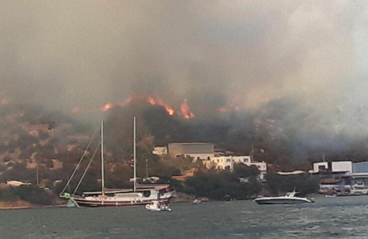 Bodrum'da alevler köye girdi evler yanıyor! 2 şehirde 5 noktada orman yangınları sürüyor!