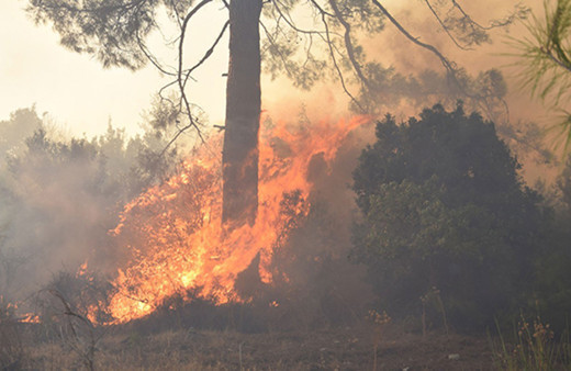 Antalya'nın Kemer ilçesinde 3 alanda başlayan orman yangını söndürüldü