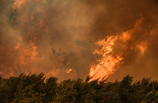 Adana'da tekrar yangın çıktı! Anons yapılıyor evler boşaltılıyor: Dumanlar gökyüzü kapladı