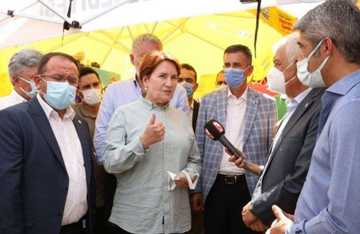 Meral Akşener'den yangın bölgesinde inceleme: Verilen sözlerini takibini şahsen yapacağım