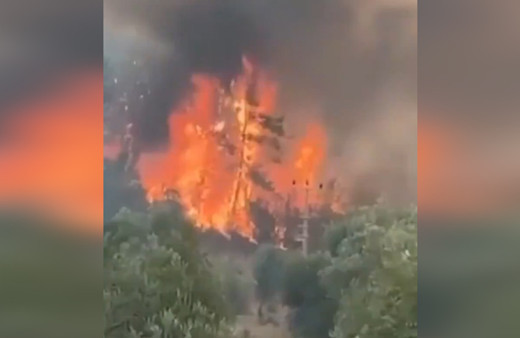 İnanılmaz görüntüler! Yangın işte böyle yayılıyor