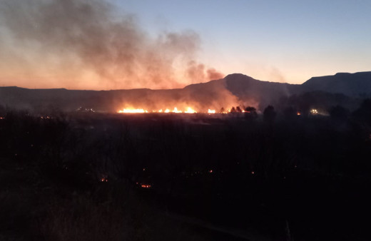 Ankara Nallıhan'daki yangının sebebi belli oldu