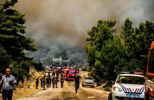 Orman yangınında alevler tüm yöreyi sardı! Çökertme'yi 'Deli Memet' denilen rüzgar yaktı