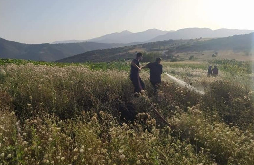 Kütahya'da jandarma ve köylüler yangını ormana sıçramadan söndürdü
