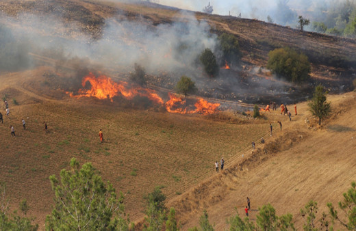 Tokat'ta yangın! 10 dönümlük ekili arazi zarar gördü!