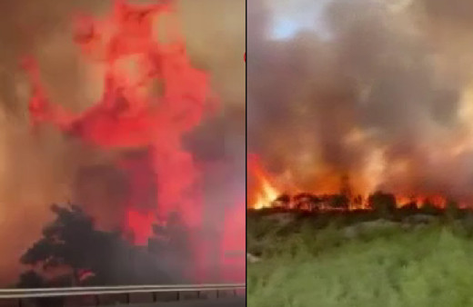 Isparta'da kozalaklar alev topuna döndü: Her yer bir saniyede yandı