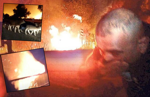 'Cehennem alevleri yüzümü yalıyordu' deyip anlattı! Muğla Bodrum'da alevlerden korku dolu kaçış