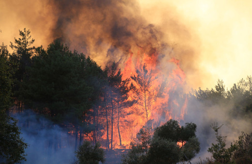 Milas Kemerköy Termik Santral yangını kabus gecesinde ünlülerden sosyal medyada isyan
