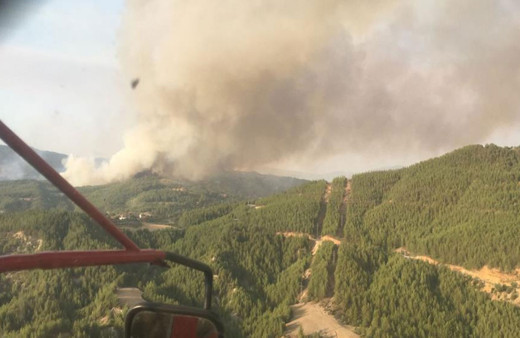 Türkiye'deki orman yangınlarının uydu görüntüsü! Öncesi ve sonrasına bakın