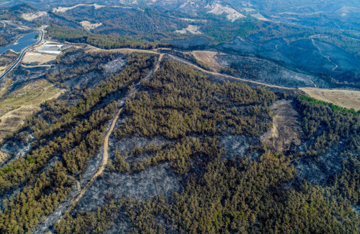 Orman yangınlarına ilişkin çarpıcı sözler: 10 günlük raporları incelemişler