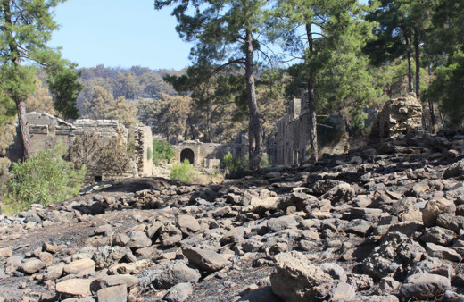 Antalya Manavgat'taki yangında antik kent Lyrbe de yandı