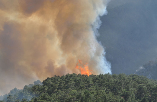 Yangınlarda son durum! Orman Bakanı Bekir Pakdemirli sevindiren haberi verdi