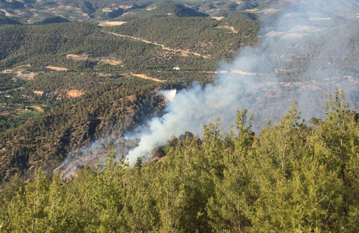 270 orman yangınından 267'si kontrol altında