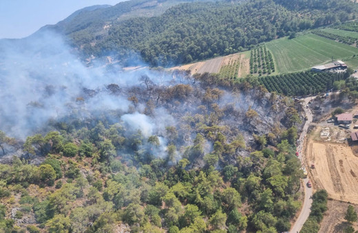 Yangınlarda son durum! Muğla ve Aydın yangınlarına müdahale sürüyor