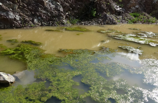 İstanbul'un içme suyuna kanalizasyon atıkları akıyor