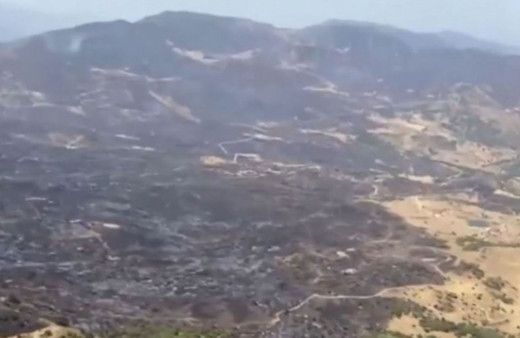 Sicilya Adası'nda yanan ormanlık alanlar havadan görüntülendi