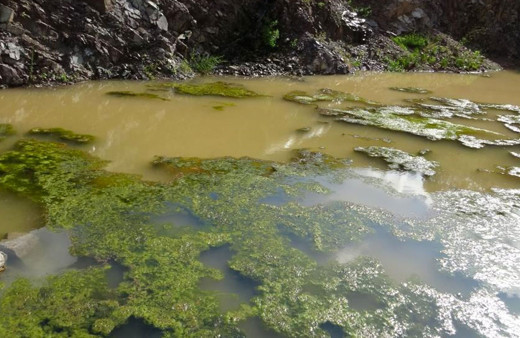 İSKİ yetkilisi 'bu suyu İstanbul'a içiremeyiz' dedi 1 yıl oldu ne arayan var ne soran
