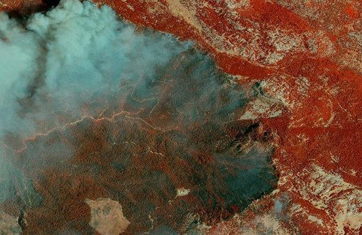 85 bin futbol sahası büyüklüğünde orman yandı! Socaklık 100 dereceye çıktı