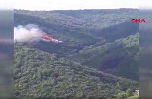 Son dakika Sarıyer'de orman yangını çıktı